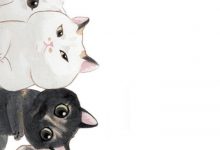 Bild von Katzenlinks bilder fürs handy