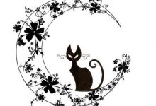 Bild von Katzenrassen Und Bilder Bilder Kostenlos bilder fürs handy
