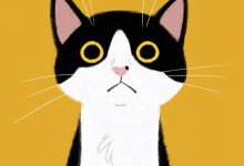 Bild von Kleine Katzen Gratis Bilder Kostenlos bilder fürs handy