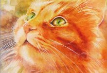 Bild von Komische Katzenbilder Bilder Kostenlos bilder fürs handy