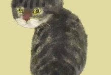 Bild von Kostenlose Baby Katzen bilder fürs handy