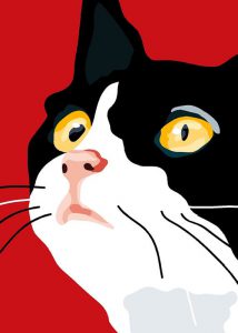 Kostenlose Katzen Spiele 214x300 - Bilder Brunnen