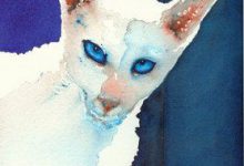 Bild von Kostenlose Katzenbilder fürs handy