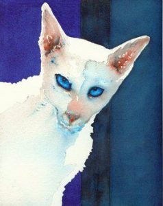 Kostenlose Katzenbilder 238x300 - Weiße Katze