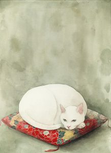 Lustige Bilder Katzen Bilder Kostenlos 218x300 - Cute White Cat Images Bilder