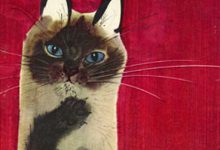 Bild von Lustige Katzenbilder Kostenlos bilder fürs handy