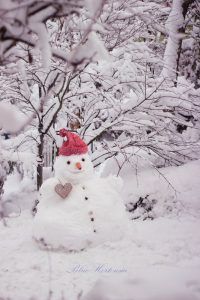 Nase Von Frosty Dem Schneemann 200x300 - Bilder Einschicken