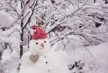Bild von Nase Von Frosty Dem Schneemann bilder fürs handy