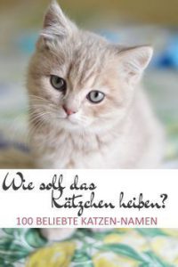 Neugeborene Katzen Bilder 200x300 - Geburtstag Katze Lustig