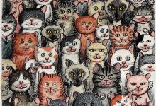 Bild von Pet Cat Pictures Bilder fürs handy
