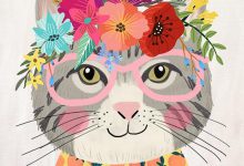 Bild von Pet Cats Pics Bilder fürs handy