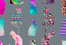 Bild von Photoshoot With Cat Bilder fürs handy