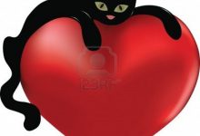 Bild von Pic Cat Com Bilder fürs handy