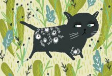 Bild von Pictures Of Adorable Cats Bilder fürs handy