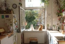 Bild von Pictures Of Baby Kittens Bilder fürs handy