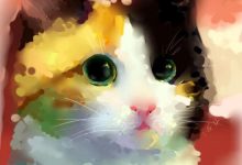 Bild von Rollige Katze Bilder Kostenlos bilder fürs handy