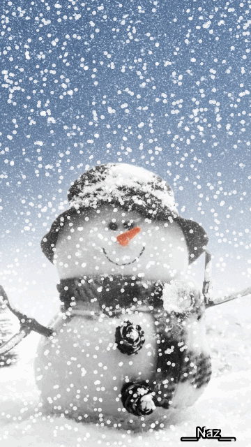 Schneefrau Bilder - Leuchtender Schneemann Basteln