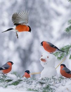 Schneelage Bayern 234x300 - Schneehasen Bilder Zum Ausdrucken