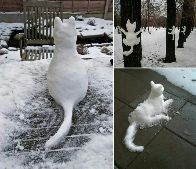 Schneemann Bilder Zum Ausdrucken