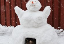 Bild von Schneemann Schneemann Lied bilder fürs handy