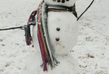 Bild von Schneemann Schwarz Weiß bilder fürs handy
