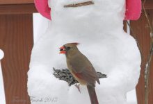 Bild von Schneemann Zeichnung bilder fürs handy