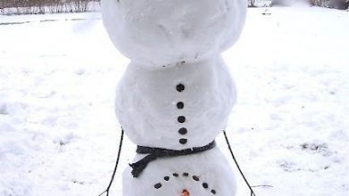 Schneemänner Mit Herz Download