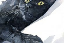 Bild von Show Me A Picture Of A Cute Cat Bilder fürs handy