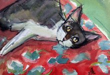 Bild von Silly Cats Bilder fürs handy
