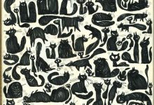 Bild von Small Cat Images Bilder fürs handy