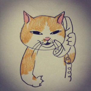 Suche Gratis Katzenbabys 300x300 - Katzenbilder Mit Lustigen Sprüchen Bilder Kostenlos