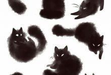 Bild von Suche Katze Gratis bilder fürs handy