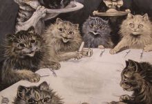 Bild von Suche Katzenbaby Kostenlos bilder fürs handy