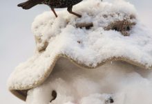 Bild von Symbol Schneemann bilder fürs handy