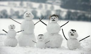 Vorlage Für Schneemann Aus Holz