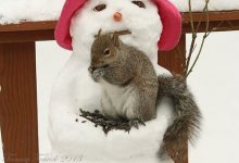 Bild von Weihnachten Bilder Clipart bilder fürs handy