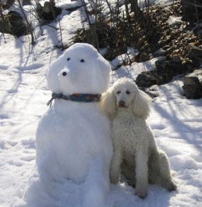 Weihnachtskarte Schneemann bilder fürs handy