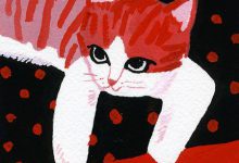 Bild von Zeig Mir Bilder Von Katzen Bilder Kostenlos bilder fürs handy