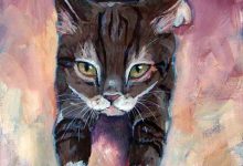 Bild von american cats images bilder fürs handy
