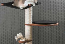 Bild von cartoon cat pictures bilder fürs handy