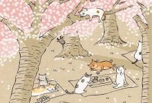 Bild von cat picture of the day bilder fürs handy