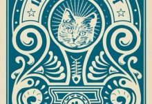 Bild von cute cat pictures download free bilder fürs handy