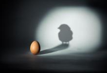 Bild von Besinnliche Ostersprüche bilder fürs handy
