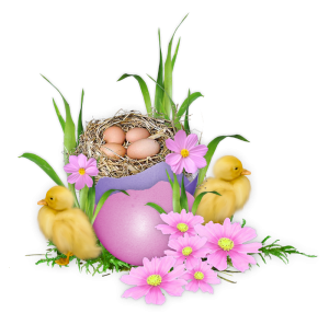 Frohe Ostern Grüße Wünsche 300x286 - Oster Spruch