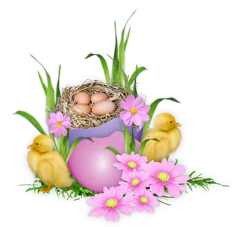 Frohe Ostern Grüße Wünsche | Bilder und Sprüche für Whatsapp und