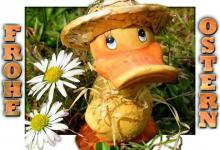 Bild von Frohe Ostern Sprüche Lustige bilder fürs handy