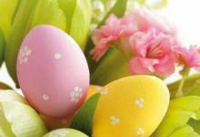 Bild von Frohe Ostern Video Lustig bilder fürs handy