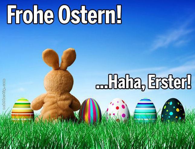 Frohe Ostern Wunsch - Frohe Ostern Wunsch