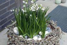 Bild von Fröhliche Ostern bilder fürs handy