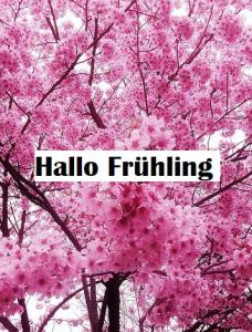 Hallo Frühling 228x300 - Frühlingsanfang sprüche lustig